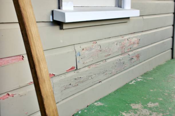 Best Hoarding Cleanup  in Haverhill, MA